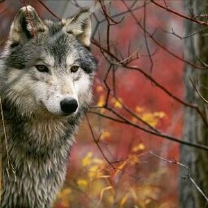 Meet your Posher, Krista